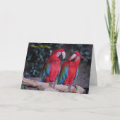 誕生日カード カード (正面)