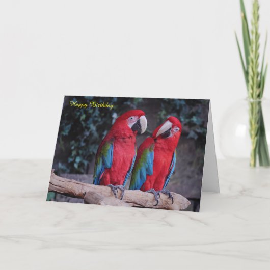 誕生日カード カード (正面)