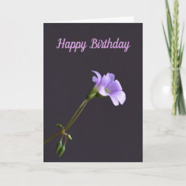 誕生日カード カード