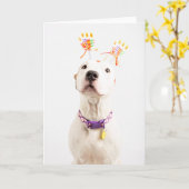 誕生日カード カード (黄色い花)