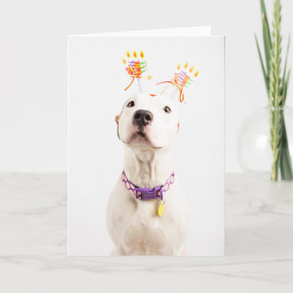 誕生日カード カード