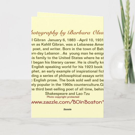 誕生日カード カード (裏面)