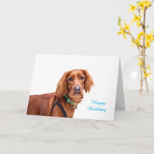 誕生日カード カード (黄色い花)