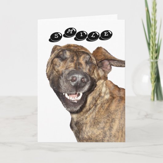 誕生日カード カード (正面)