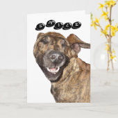 誕生日カード カード (黄色い花)