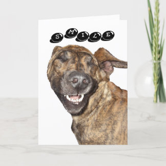 誕生日カード カード