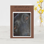 誕生日カード カード (黄色い花)