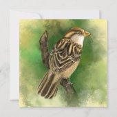 誕生日カード（スパロー付き） (裏面)