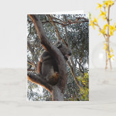 誕生日カード-スリーピングコアラ カード (黄色い花)