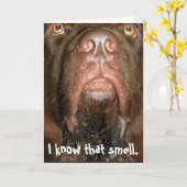 誕生日カード~ニューファンドランド犬 カード (黄色い花)