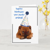 誕生日カード – ハッピーバースデーあなたはパーティー動物! カード (黄色い花)