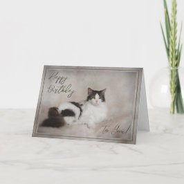 誕生日カード「ハッピーバースデー猫」 シーズンカード