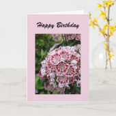 誕生日カード(ピンクの山の月桂樹) カード (黄色い花)