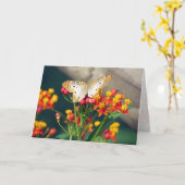 誕生日カード – ホワイトピーコック蝶 カード (黄色い花)