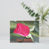 誕生日カード ポストカード (スタンド正面)