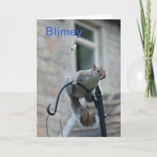 誕生日カード：リス&バタフライ カード (正面)