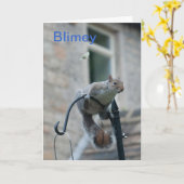 誕生日カード：リス&バタフライ カード (黄色い花)