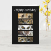 誕生日カード – 動物の目 カード (黄色い花)