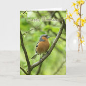 誕生日カード(男性チャフインチ(Fringilla coele) カード (黄色い花)