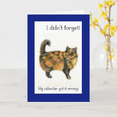 誕生日カード – 長毛の茶色のタビー猫 カード (黄色い花)