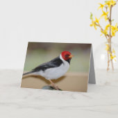 誕生日カード(黄色の請求済み（鳥）ショウジョウコウカンチョウを搭載) カード (黄色い花)