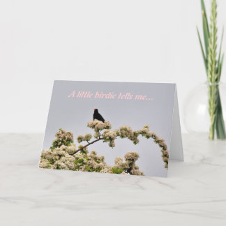 誕生日カード：黒鳥 カード