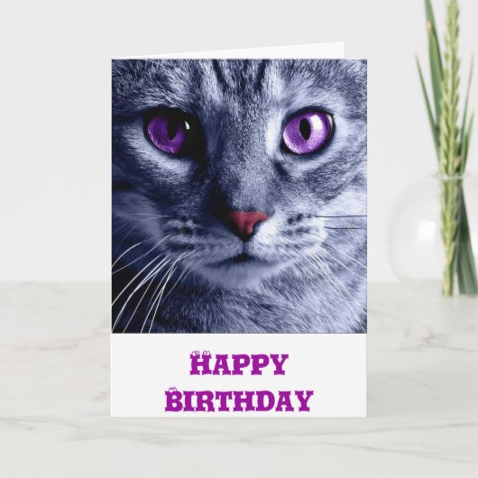 誕生日カード： Cat誕生日カード カード (正面)