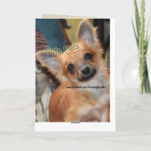 誕生日カード | Chihuahua Puppy Chi Chi Dylan カード (裏面)