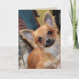 誕生日カード | Chihuahua Puppy Chi Chi Dylan カード