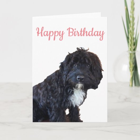 誕生日カード – Cockapoo Puppy Greeting Card カード (正面)