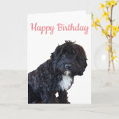 誕生日カード – Cockapoo Puppy Greeting Card カード (黄色い花)