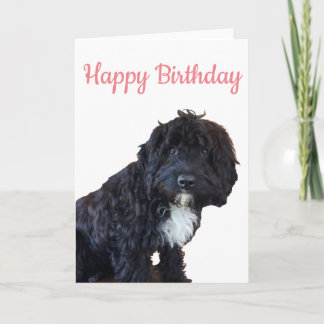 誕生日カード – Cockapoo Puppy Greeting Card カード