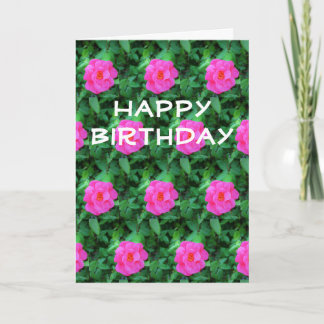 誕生日カード(Jo Images社による花柄) カード