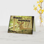 誕生日カード – Whitetail Deer Buckビロード カード (黄色い花)
