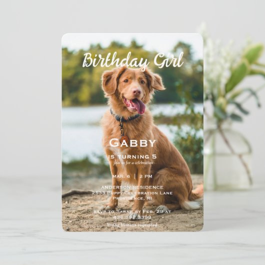 誕生日ガールペットフォトバースデーパーティー 招待状 (スタンド正面)