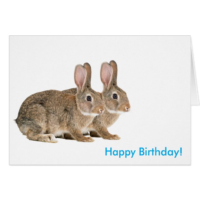 誕生日グリーティングカード用のウサギ画像 (正面横)