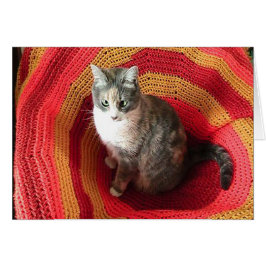 誕生日グリーティングキャットオンアフガンカバーカード