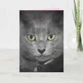 誕生日グレイ猫ユーモア カード (正面)