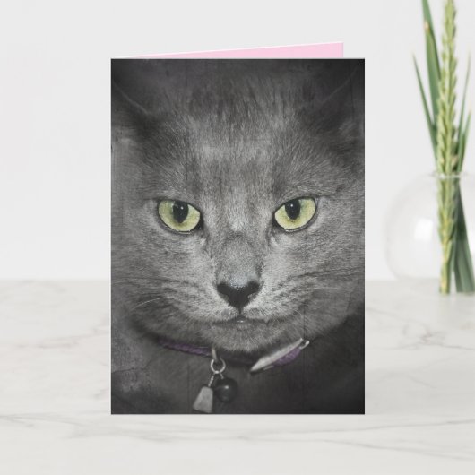 誕生日グレー猫のユーモア カード (正面)