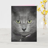 誕生日グレー猫のユーモア カード (黄色い花)