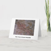 誕生日ケイブマン カード (裏面)