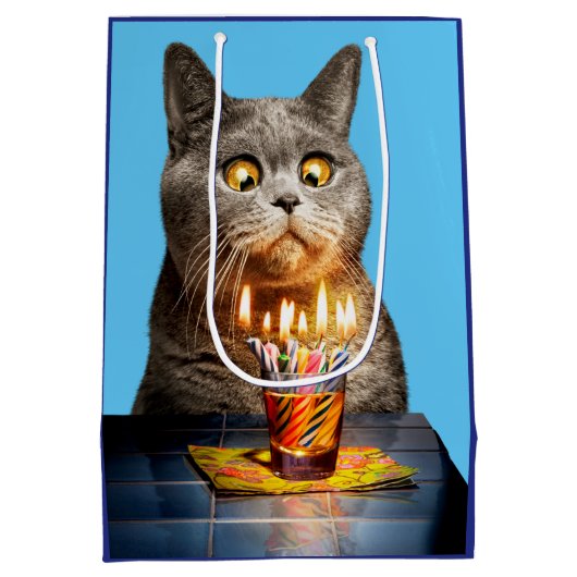 誕生日ショットガラス付き猫 ミディアムペーパーバッグ (裏面)