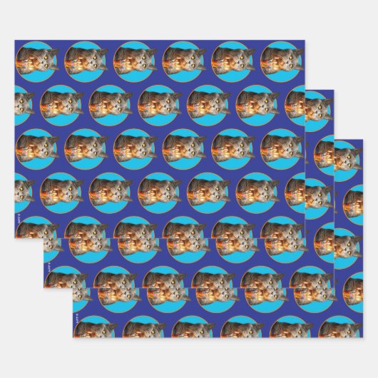 誕生日ショットガラス付き猫 ラッピングペーパーシート (セット)