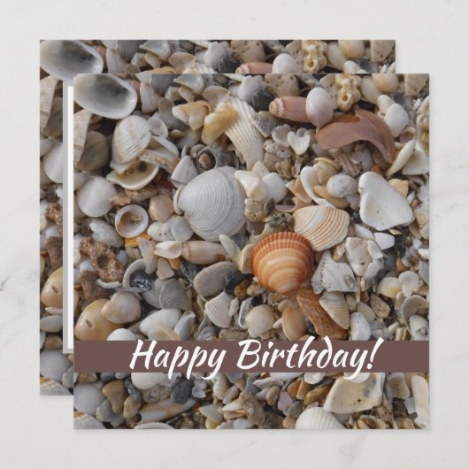 誕生日シーシェルズアットザシーショア (正面/裏面)