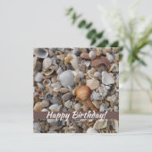 誕生日シーシェルズアットザシーショア (スタンド正面)