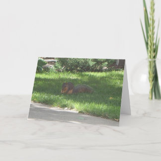 誕生日ジャズリス カード