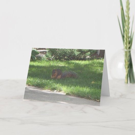 誕生日ジャズリス カード (正面)