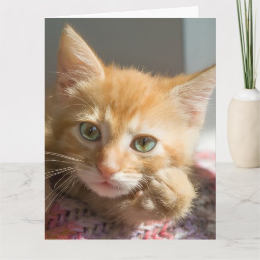 誕生日ジンジャーキャット子猫グリーティングカード カード (正面)