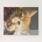 誕生日ジンジャーキャット子猫 ジグソーパズル (横)