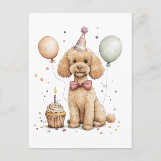 誕生日スタンダードプードル犬 ポストカード (正面)